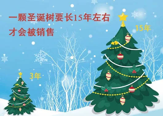 中國最早報道圣誕節(jié)的竟是《人民日報》，你不知道的10個圣誕小知識